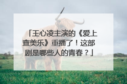 王心凌主演的《爱上查美乐》重播了!这部剧是哪些人的青春?