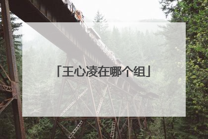 王心凌在哪个组