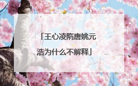 王心凌隋唐姚元浩为什么不解释