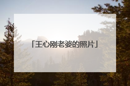 王心刚老婆的照片