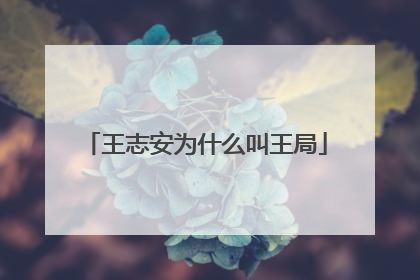 王志安为什么叫王局