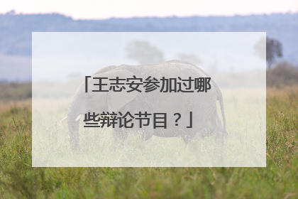 王志安参加过哪些辩论节目？