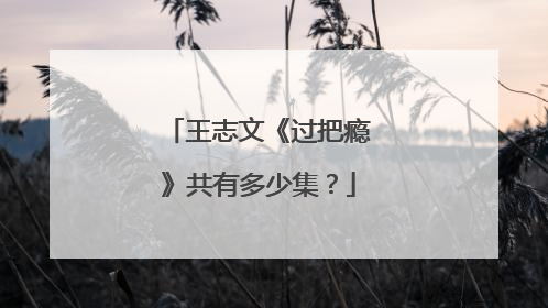 王志文《过把瘾》共有多少集？