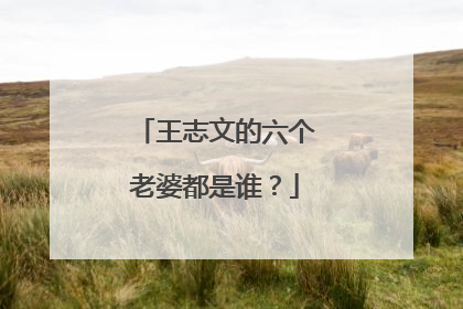 王志文的六个老婆都是谁？