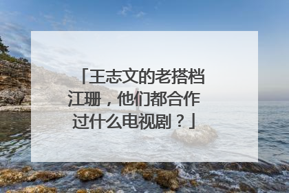王志文的老搭档江珊,他们都合作过什么电视剧?