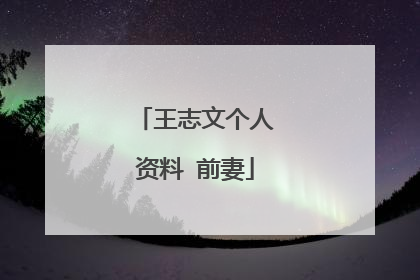 王志文个人资料 前妻