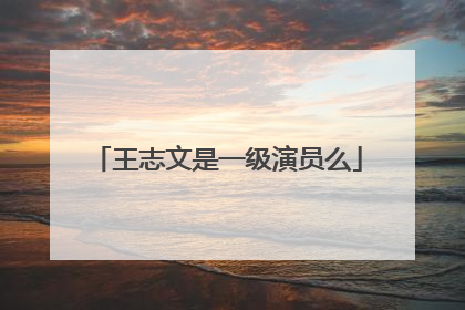 王志文是一级演员么
