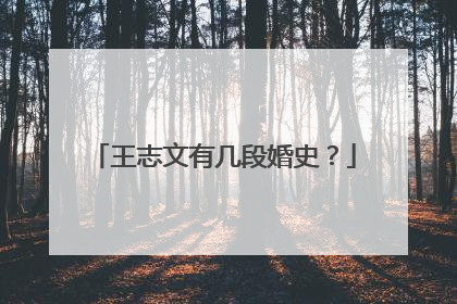 王志文有几段婚史?