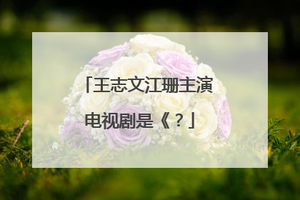 王志文江珊主演电视剧是《?