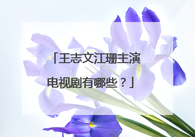 王志文江珊主演电视剧有哪些?