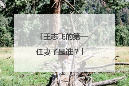 王志飞的第一任妻子是谁?