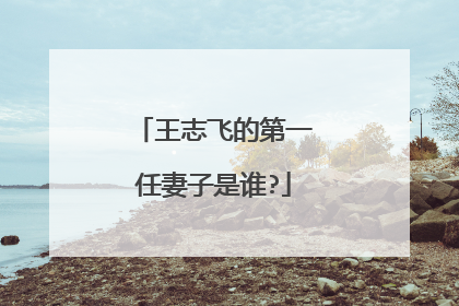 王志飞的第一任妻子是谁?