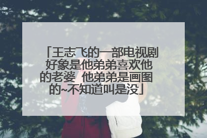 王志飞的一部电视剧 好象是他弟弟喜欢他的老婆 他弟弟是画图的~不知道叫是没