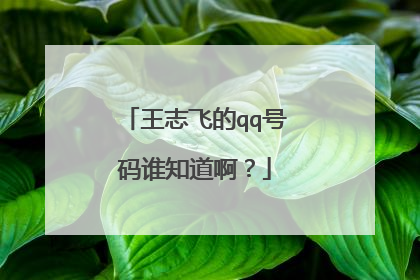 王志飞的qq号码谁知道啊？
