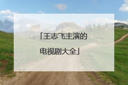 王志飞主演的电视剧大全