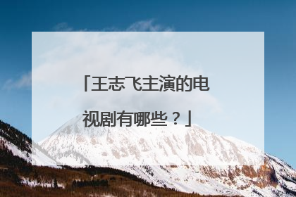 王志飞主演的电视剧有哪些？