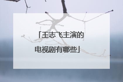 王志飞主演的电视剧有哪些