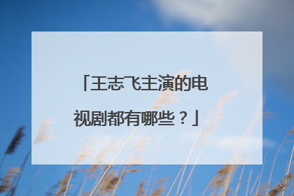 王志飞主演的电视剧都有哪些？