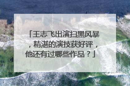 王志飞出演扫黑风暴，精湛的演技获好评，他还有过哪些作品？