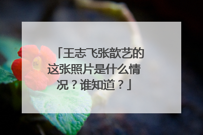 王志飞张歆艺的这张照片是什么情况？谁知道？