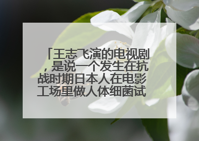 王志飞演的电视剧，是说一个发生在抗战时期日本人在电影工场里做人体细菌试验的故事，请问叫什么名字？
