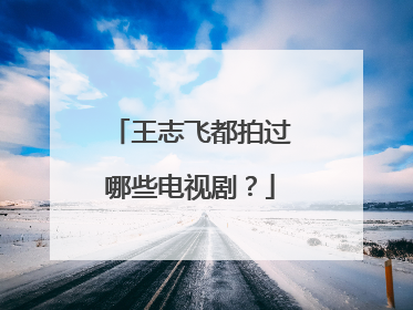 王志飞都拍过哪些电视剧？