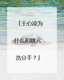 王心凌为什么和姚元浩分手？