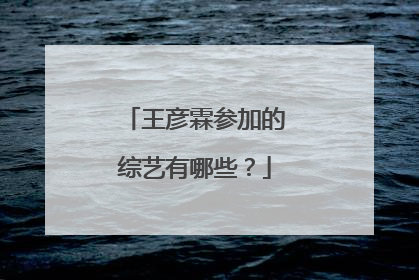 王彦霖参加的综艺有哪些？