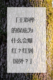 王彩桦的保庇为什么会爆红?红到国外?