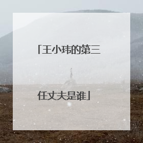 王小玮的第三任丈夫是谁