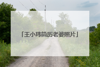 王小玮简历老婆照片