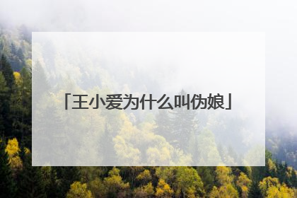 王小爱为什么叫伪娘