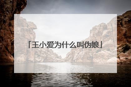 王小爱为什么叫伪娘