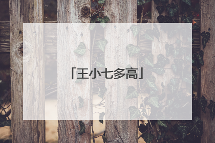王小七多高