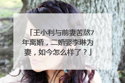 王小利与前妻苦熬7年离婚，二婚娶李琳为妻，如今怎么样了？