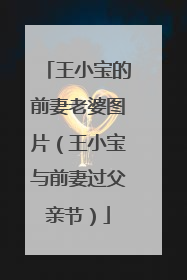 王小宝的前妻老婆图片（王小宝与前妻过父亲节）