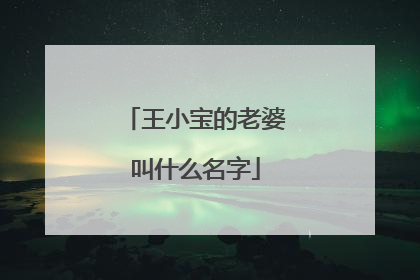 王小宝的老婆叫什么名字