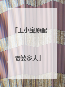 王小宝原配老婆多大