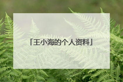 王小海的个人资料
