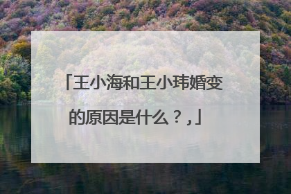 王小海和王小玮婚变的原因是什么？,