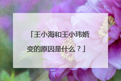 王小海和王小玮婚变的原因是什么？