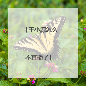 王小源怎么不直播了