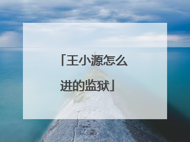 王小源怎么进的监狱