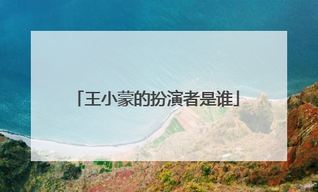 王小蒙的扮演者是谁