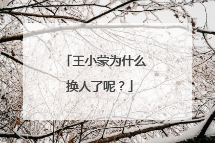 王小蒙为什么换人了呢？