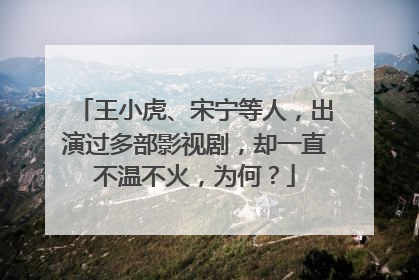 王小虎、宋宁等人，出演过多部影视剧，却一直不温不火，为何？