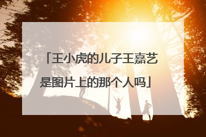 王小虎的儿子王嘉艺是图片上的那个人吗