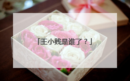 王小贱是谁了？