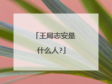 王局志安是什么人?