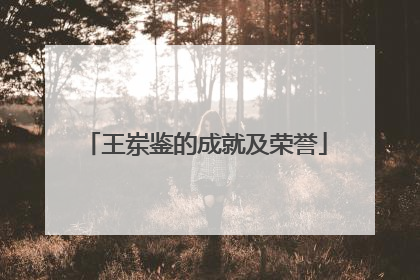 王岽鉴的成就及荣誉